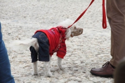 San Biagio Platani544.JPG